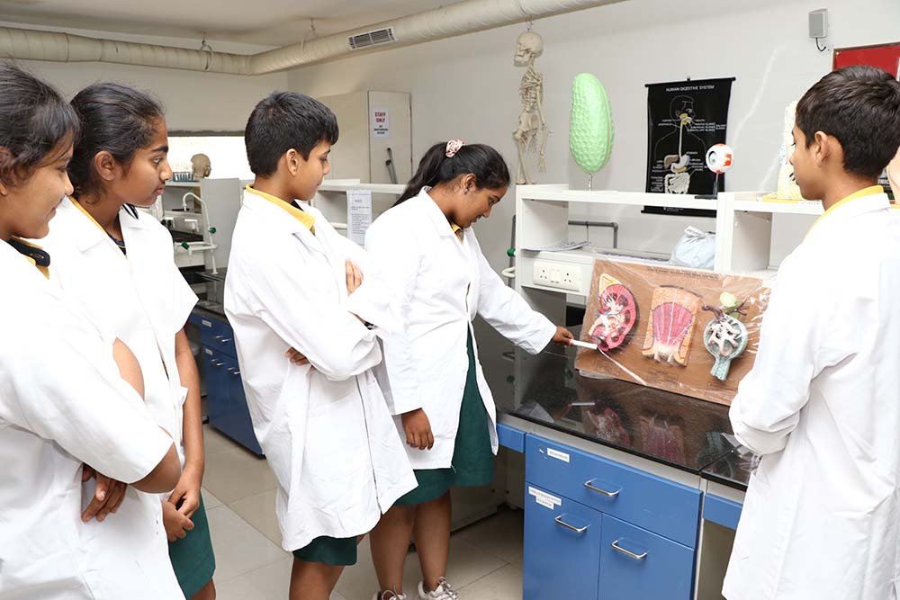 lab3